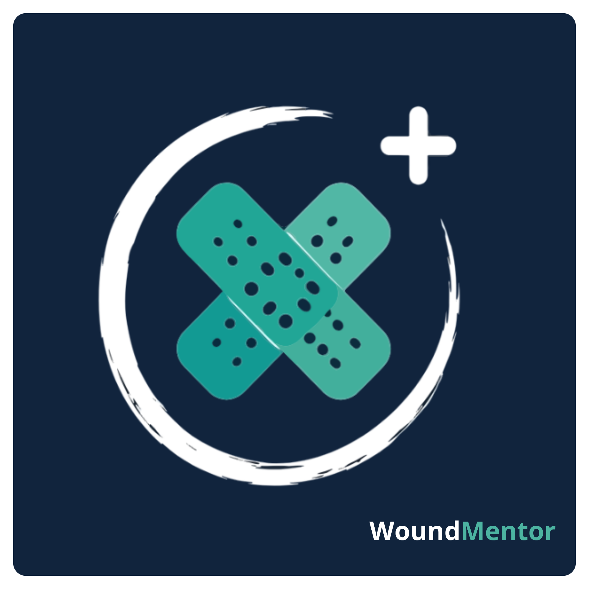 WoundMentor